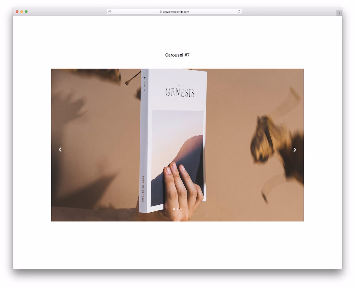 Carousel V17