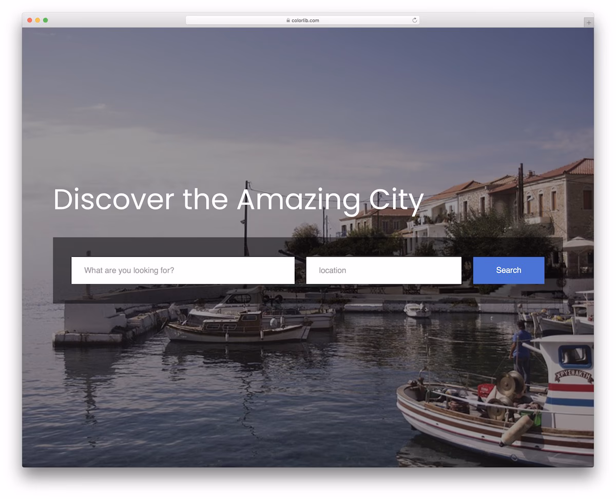Colorlib Search Form V1