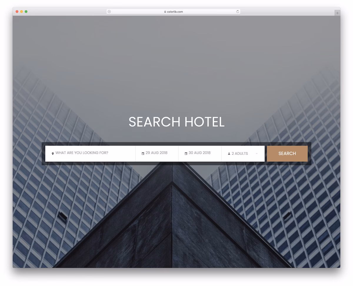 Colorlib Search Form V2