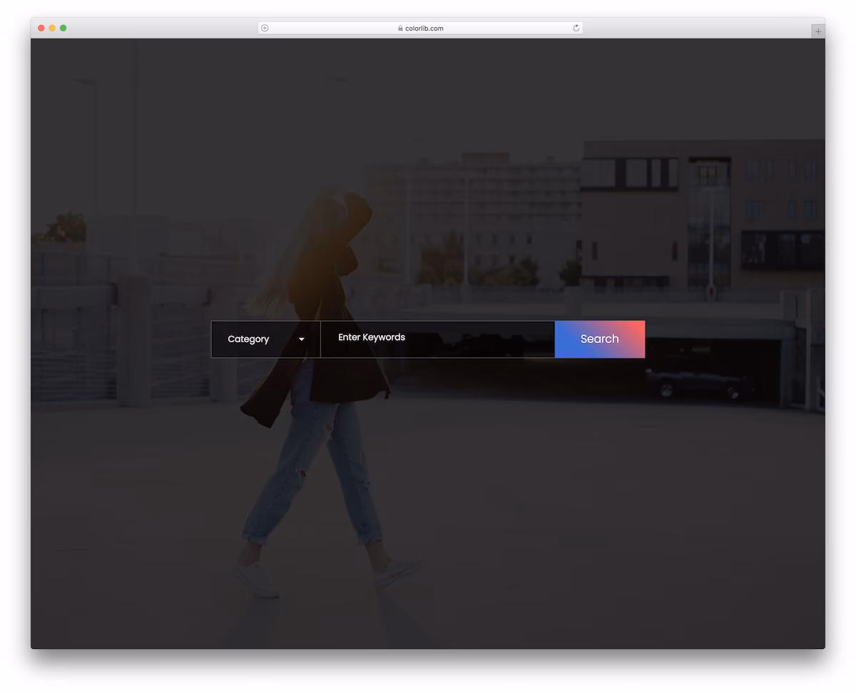 Colorlib Search Form V25