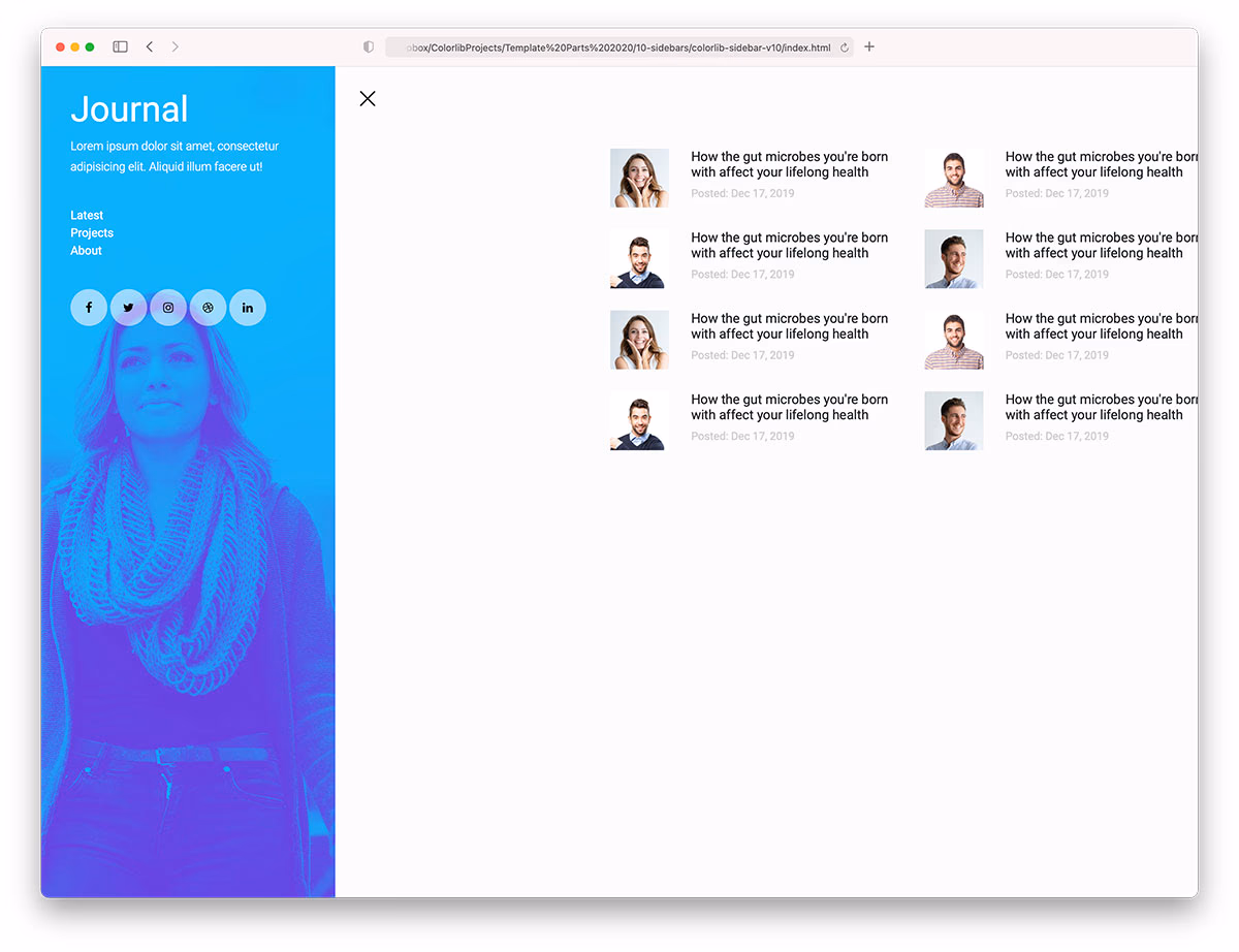 Colorlib Sidebar V10