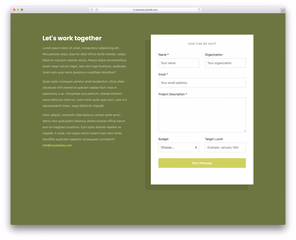 Contact Form V14