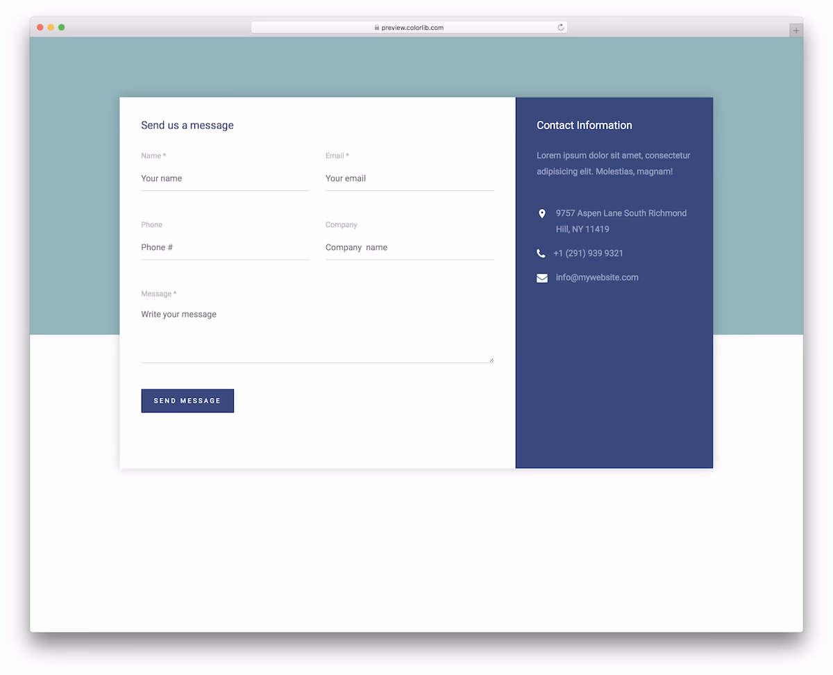 Contact Form V17