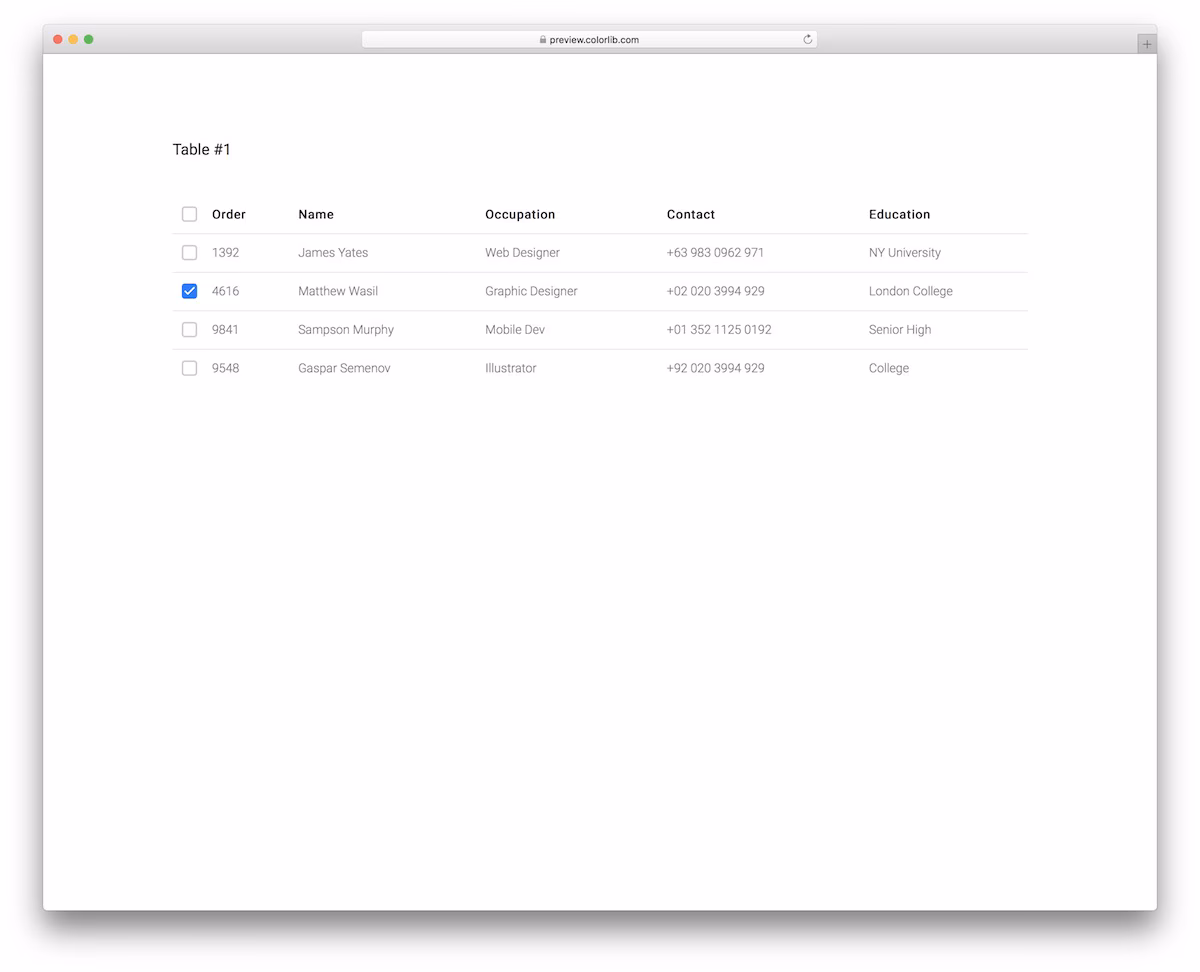 CSS Table V11