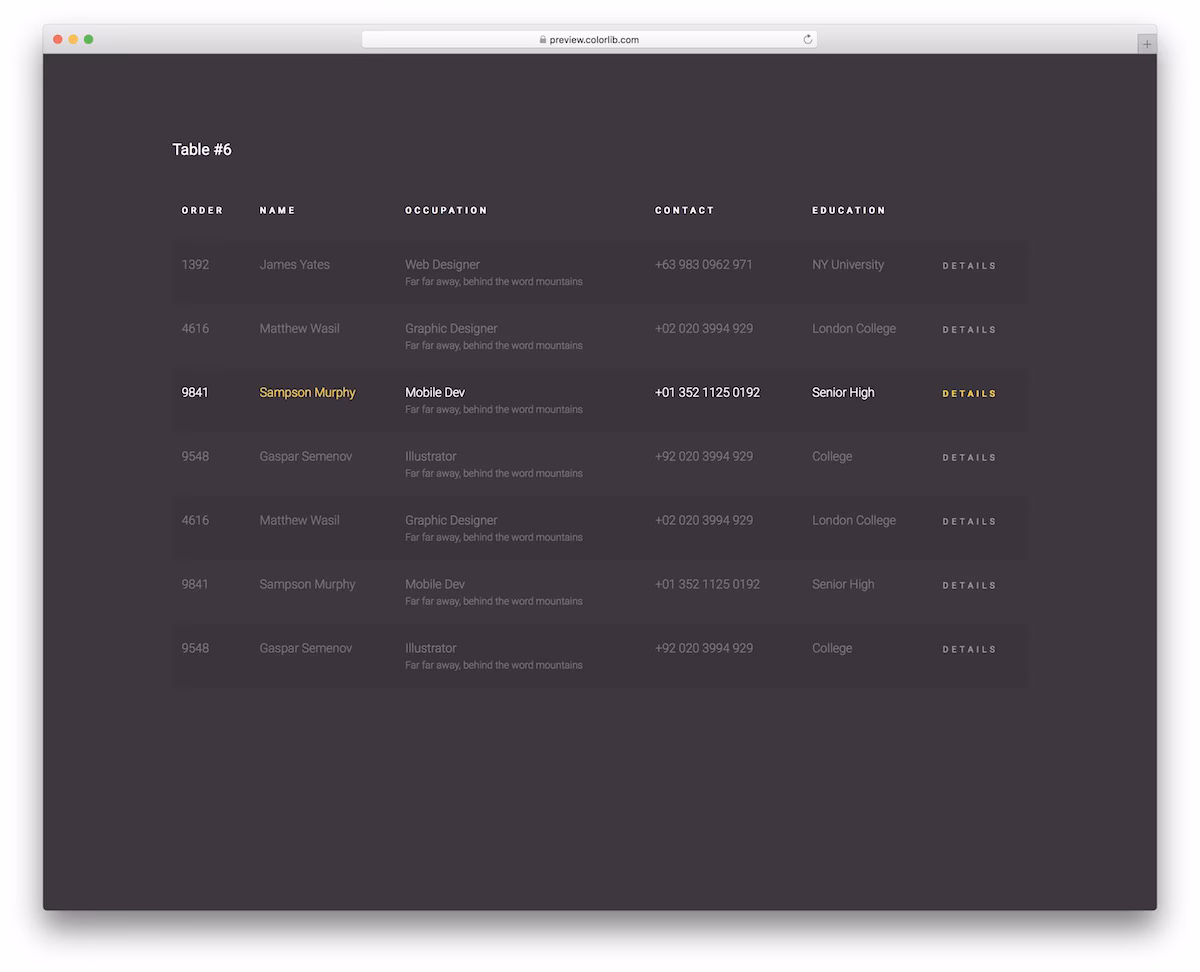 CSS Table V16