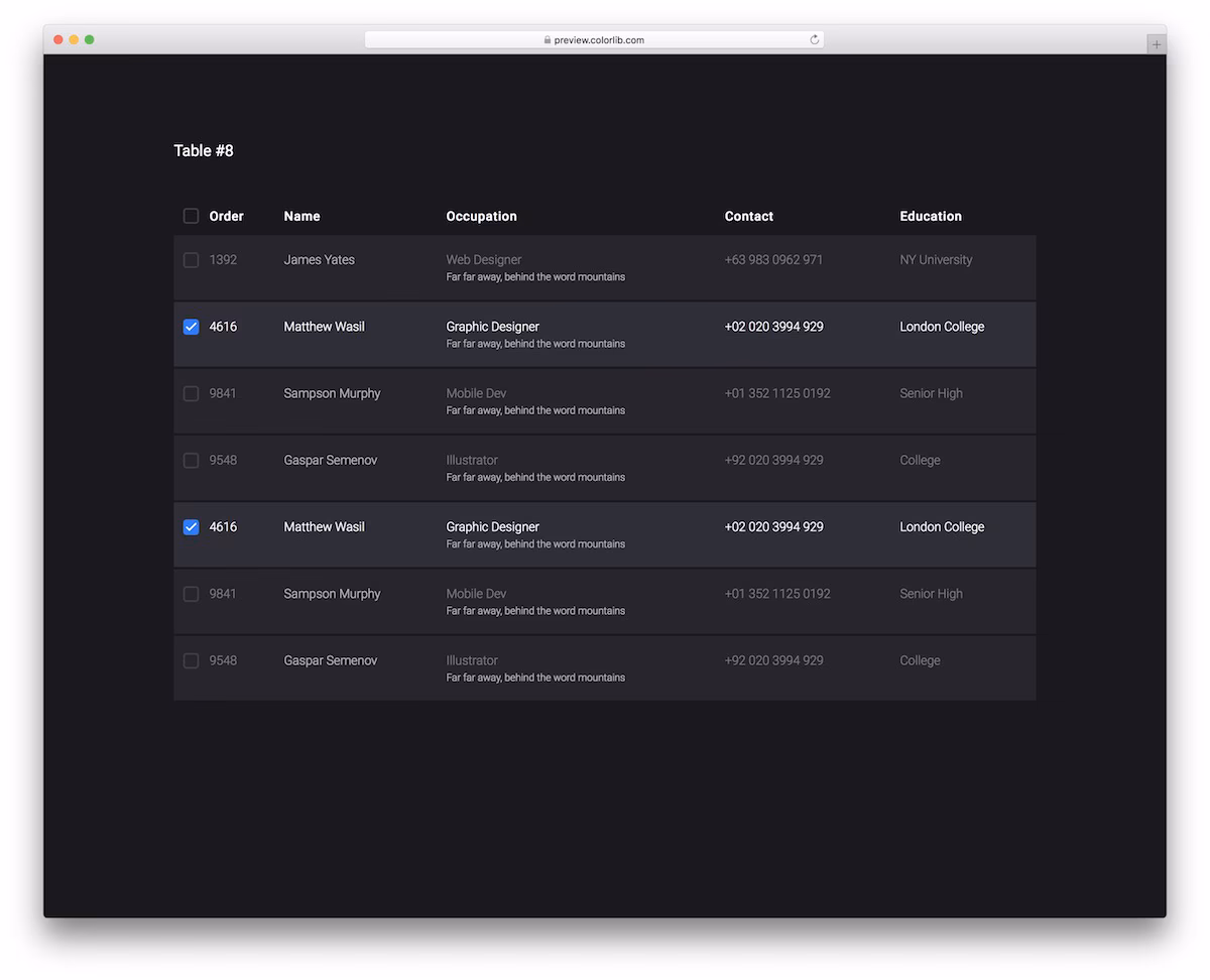 CSS Table V18