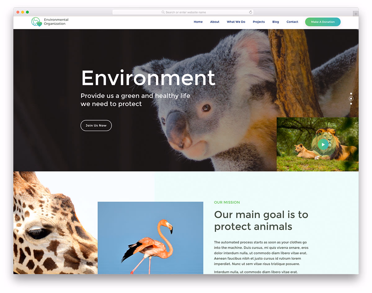 EnvironmentalOrganization
