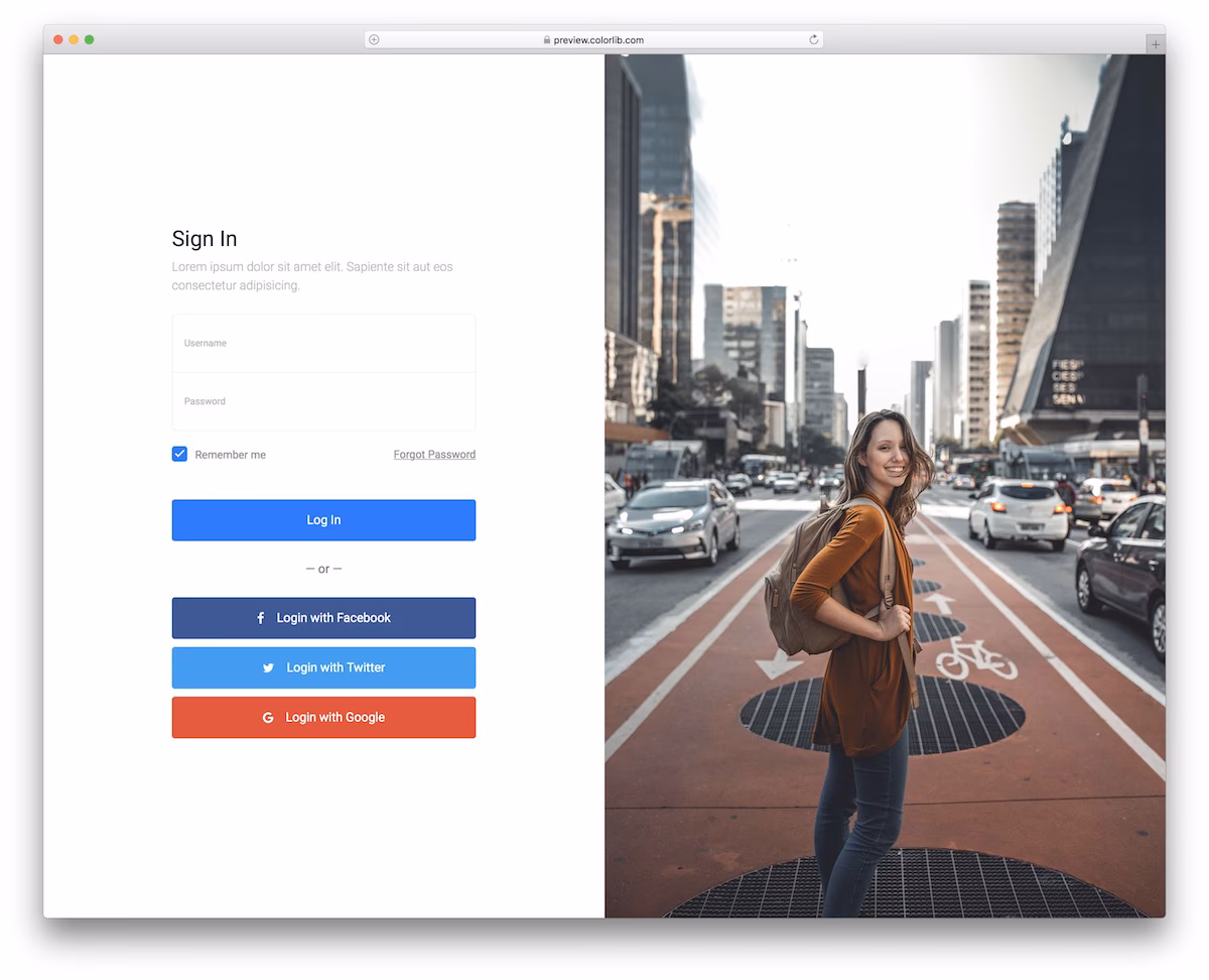Login Form V06