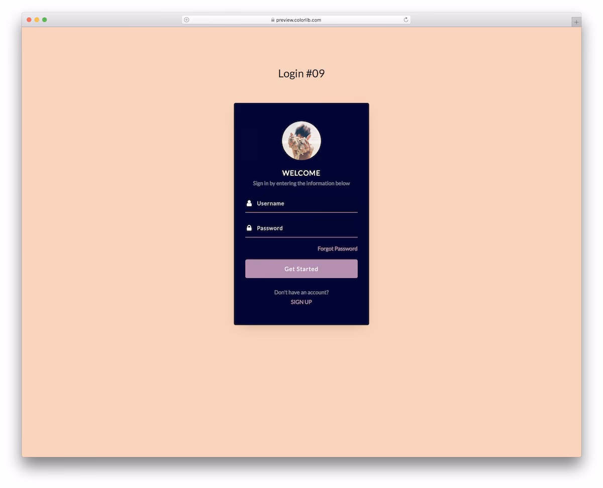 Login Form V19