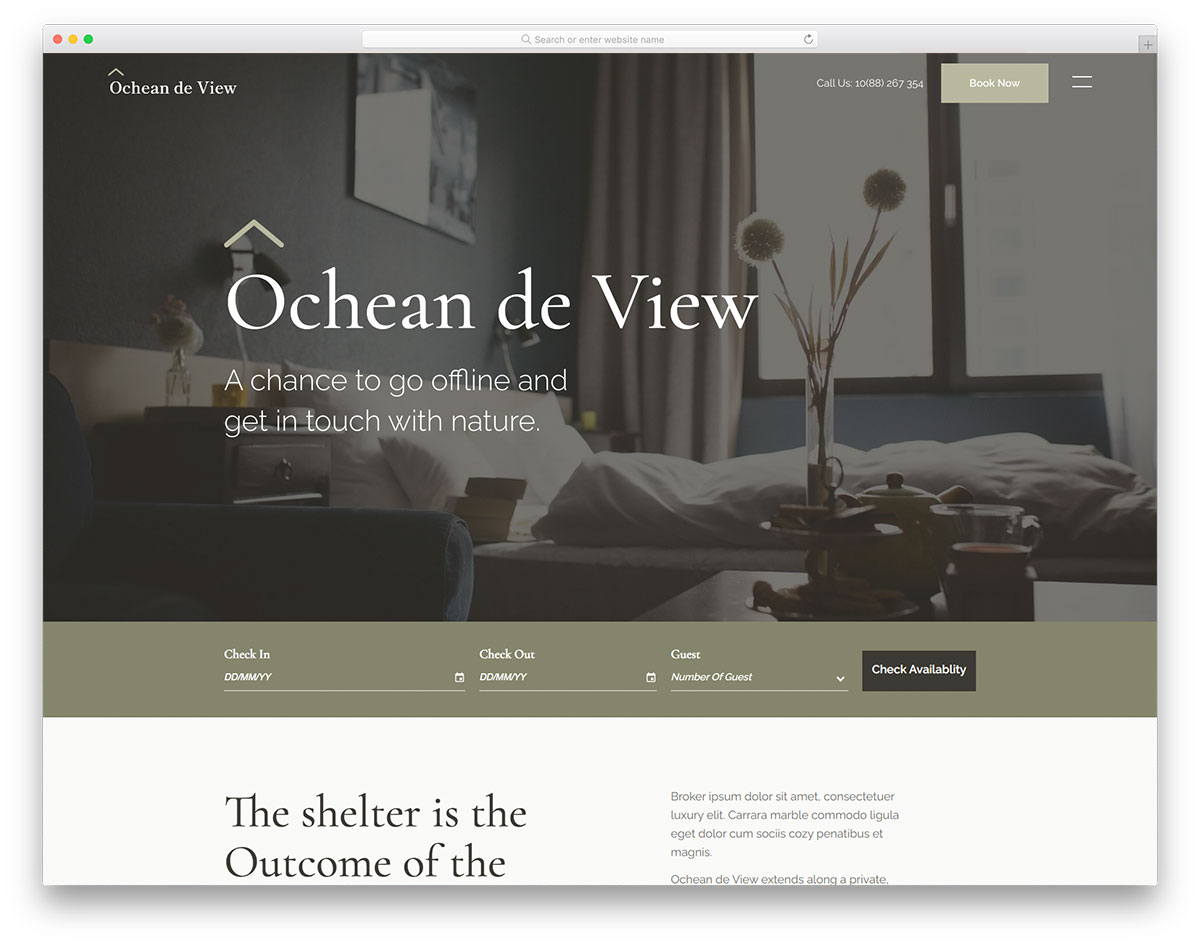 Ocheandeview