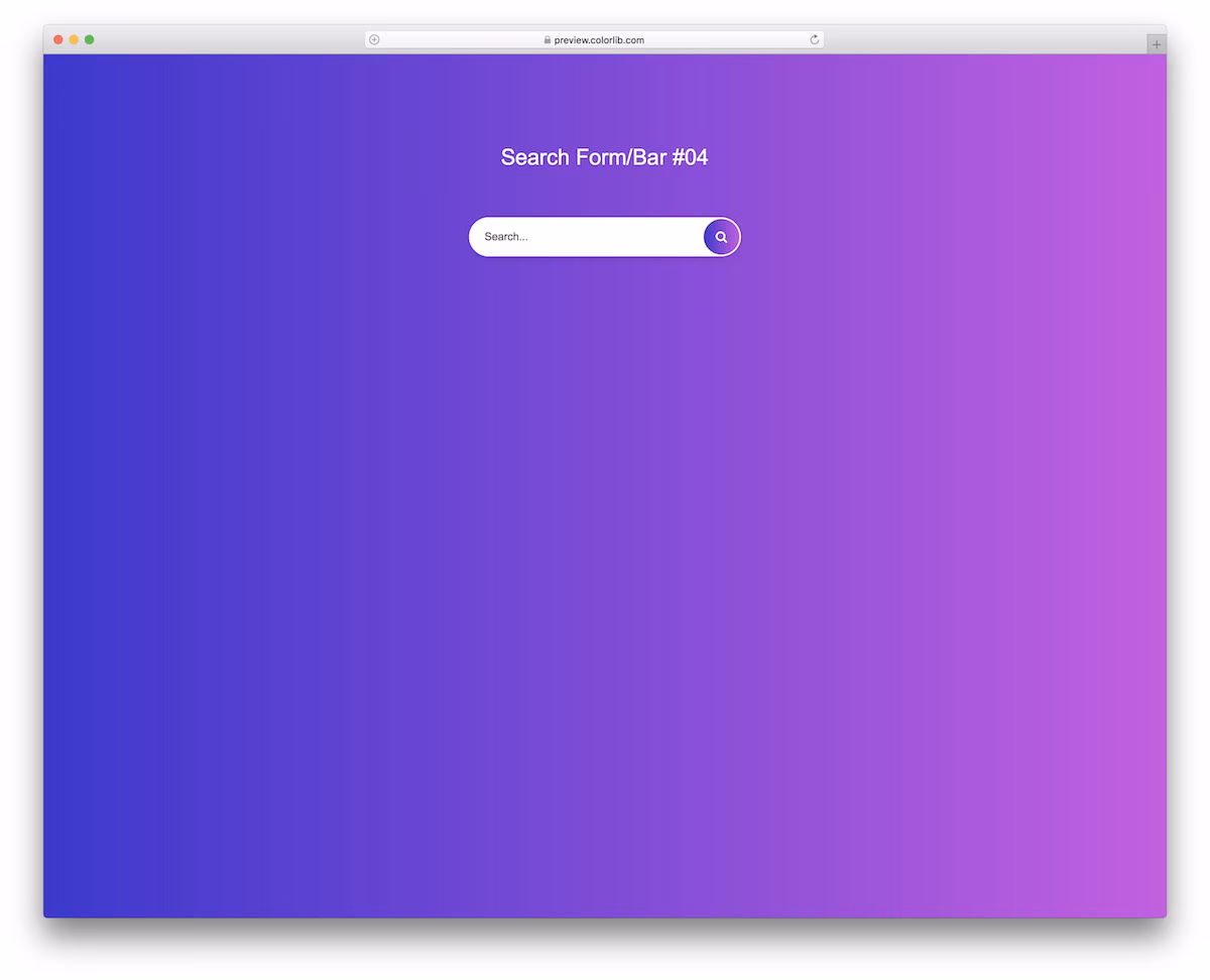 Search Form/Bar V04