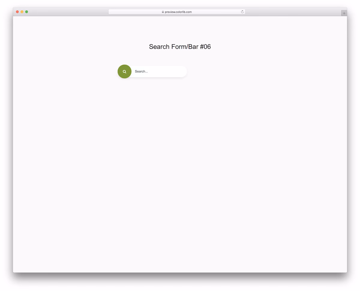 Search Form/Bar V06