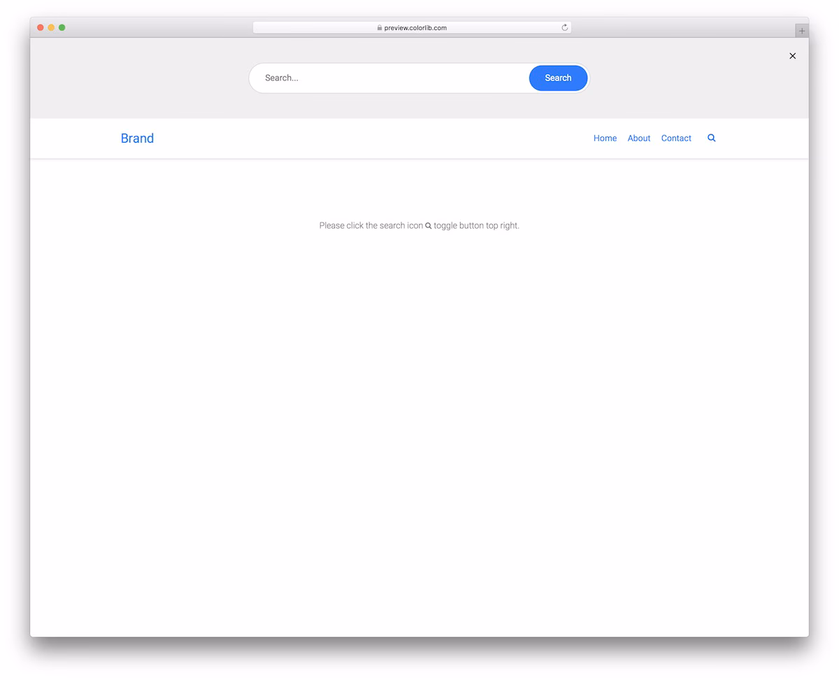 Search Form/Bar V15