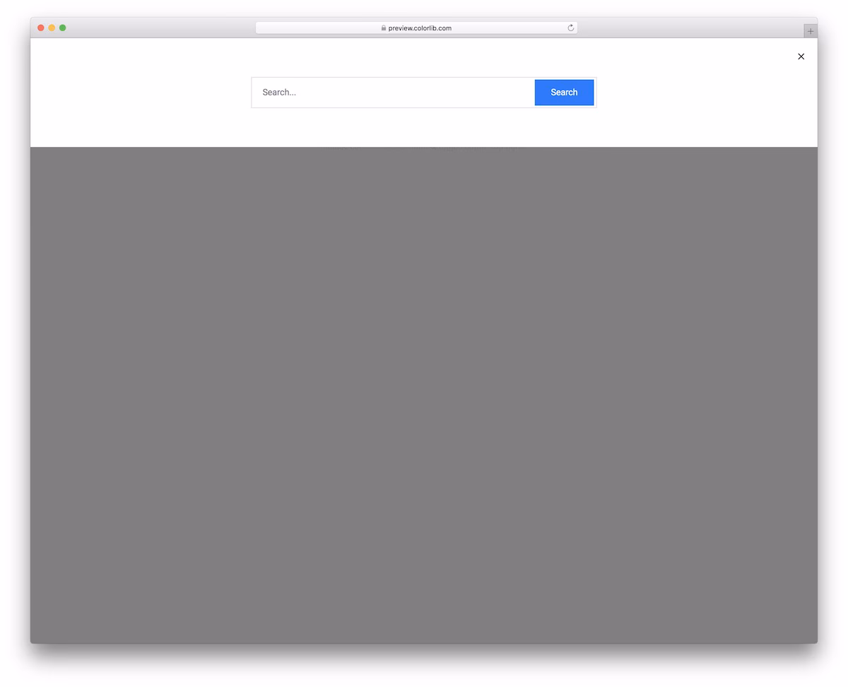 Search Form/Bar V18